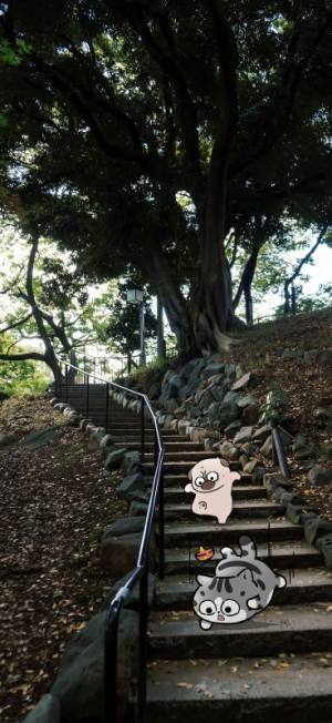 Forest stairs with cartoons