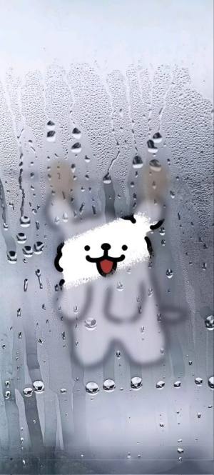 پنجره خیس و سگ کیوت