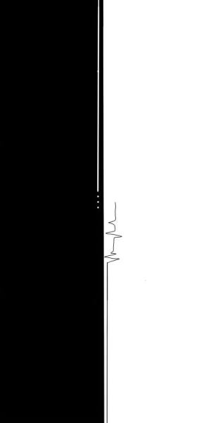 Black and white vertical line