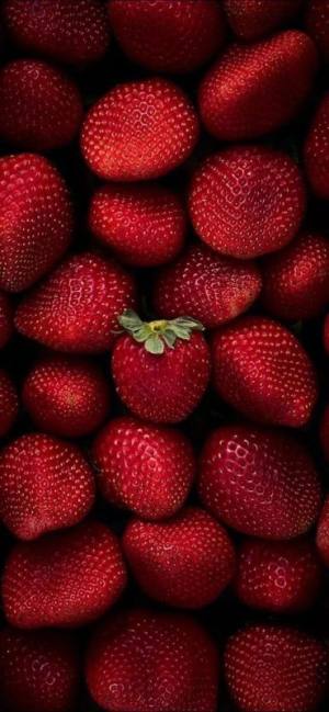 Red strawberries close-up