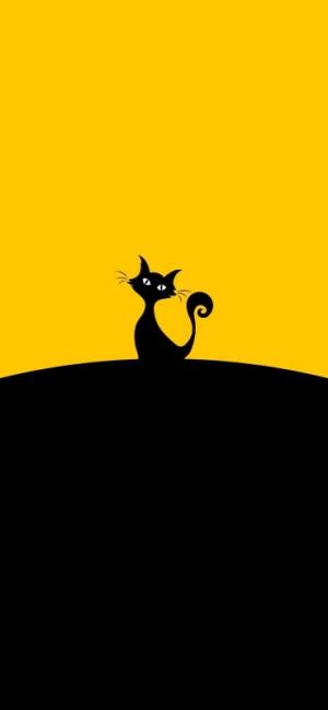 گربه سیاه پنهان پشت سایه